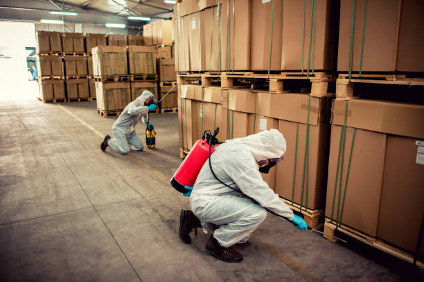 Best Exterminator Services  in New Hempstead, NY
