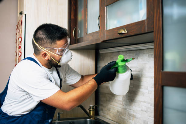 Best Pest Removal Services  in New Hempstead, NY