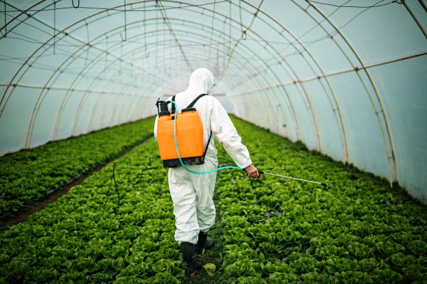 Trusted New Hempstead, NY Pest Control Experts