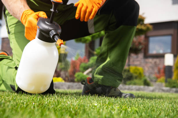 Pest Prevention Services in New Hempstead, NY