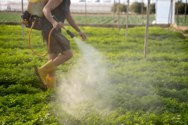 Best Pest Control for Businesses  in New Hempstead, NY