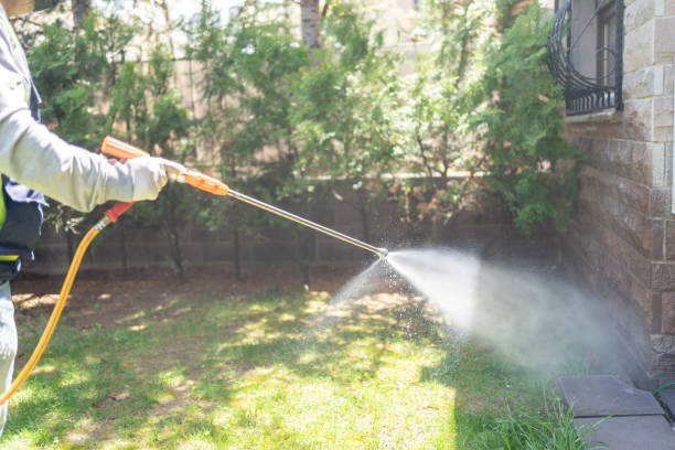 Best Wasp Removal Services  in New Hempstead, NY