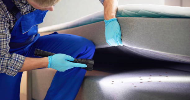 Best Ant Control Services  in New Hempstead, NY