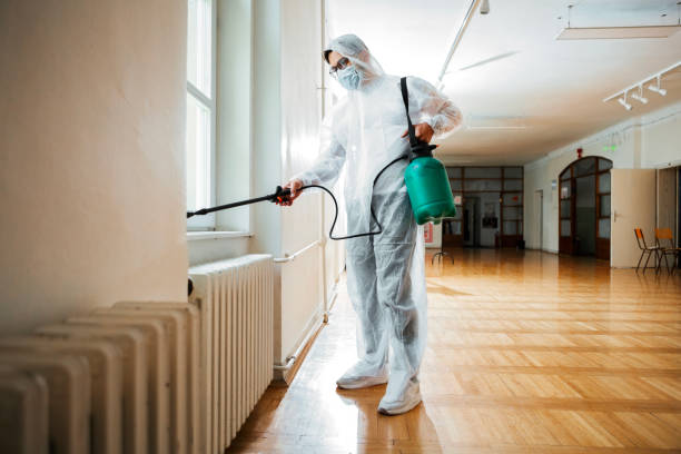 Best Mosquito Control Services  in New Hempstead, NY