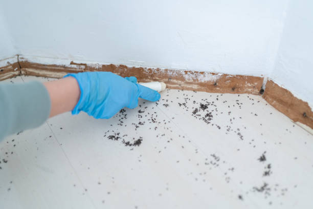 Best Commercial Pest Control Services  in New Hempstead, NY