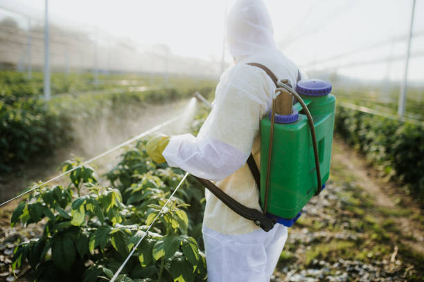 Best Local Pest Control Services  in New Hempstead, NY
